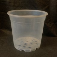 Clear Pot - 15cm