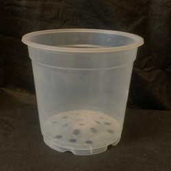 Clear Pot - 15cm