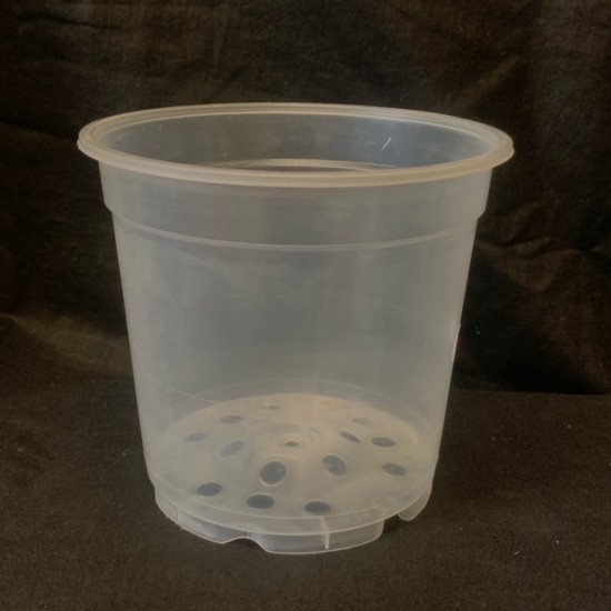 Clear Pot - 15cm