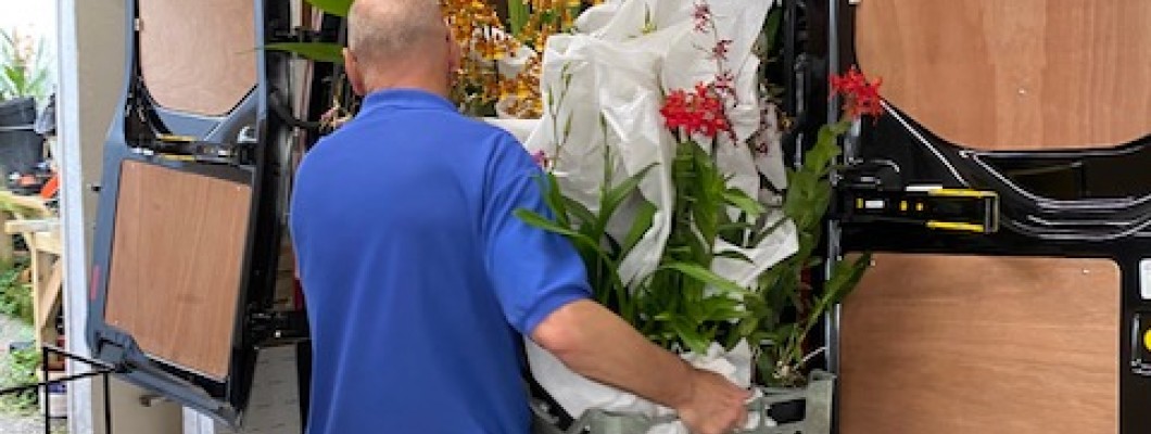East Midlands Orchid Society Show - Sun 23rd October 2022