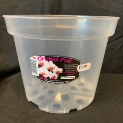 Clear Pot - 21cm