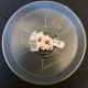 Clear Plastic Saucer - 9-15cm