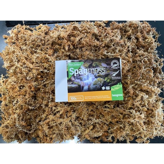Compressed Sphagnum Moss - 100g