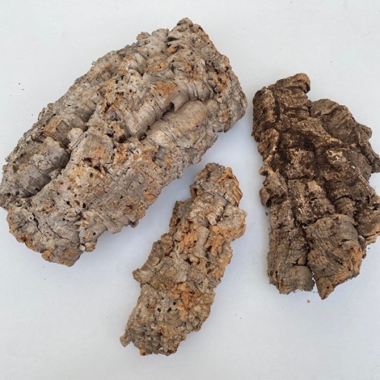 Cork Bark