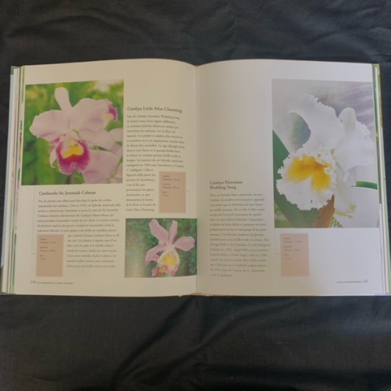 Orchidées - French copy