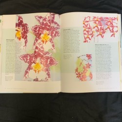 Orchideen (RHS) - German copy 