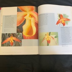 Le Grand Livre Des Orchidées (French)