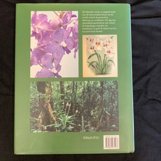 Orchideeën - Dutch copy