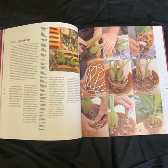 Orchidées - Varieties, planting and maintaining orchids (French copy)