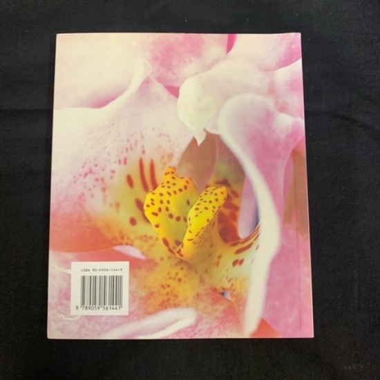 Orchideeën - small Dutch copy