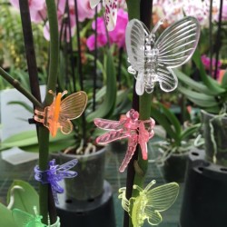 Butterfly Clips