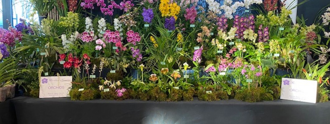 Our Recent Gold Medal!